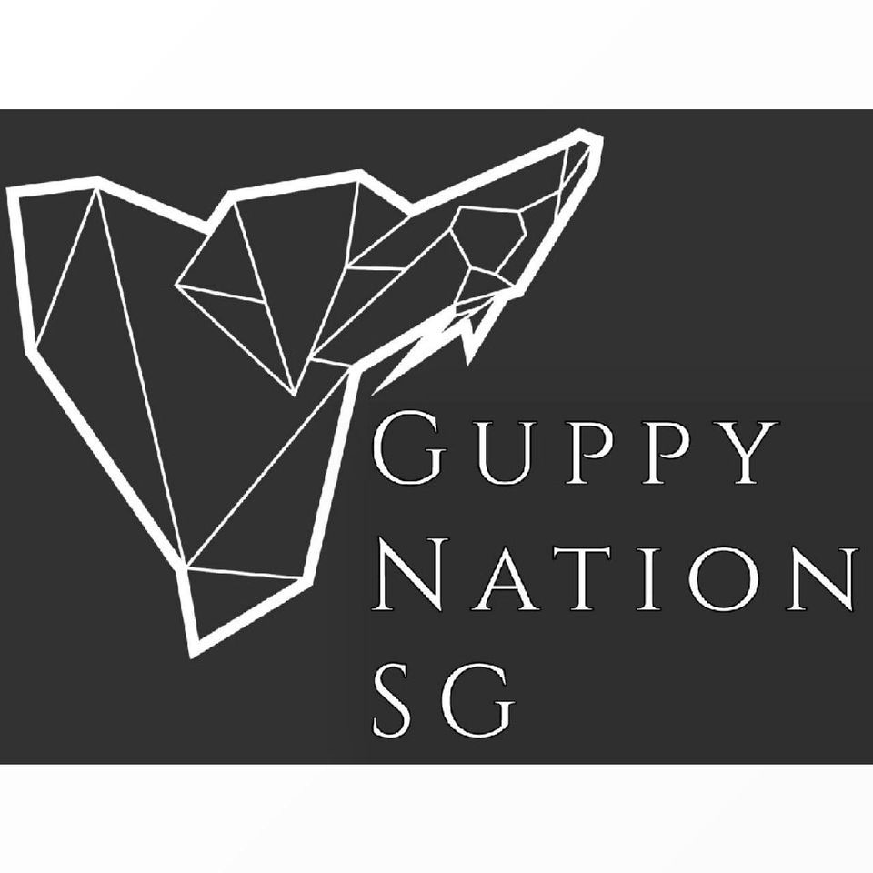Guppy Nation SG