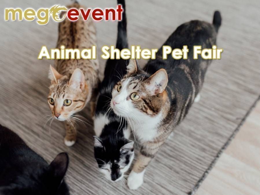 Animal Shelter Pet Fair